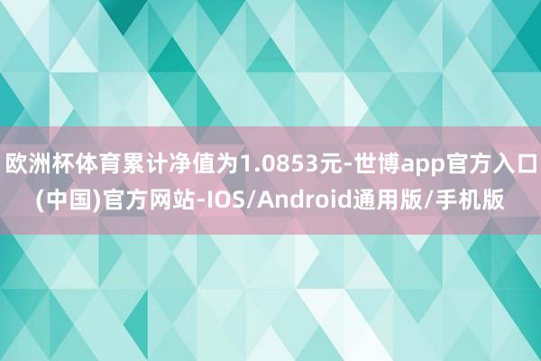 欧洲杯体育累计净值为1.0853元-世博app官方入口(中国)官方网站-IOS/Android通用版/手机版