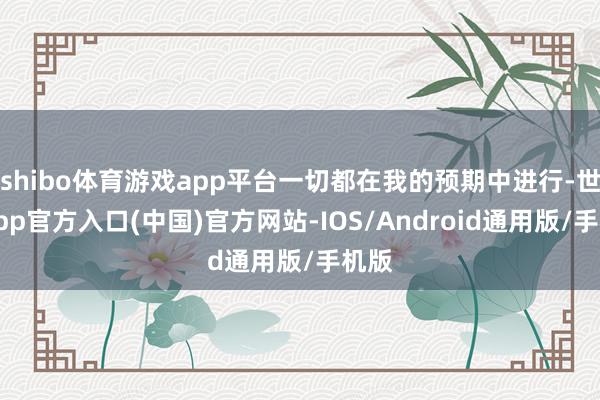 shibo体育游戏app平台一切都在我的预期中进行-世博app官方入口(中国)官方网站-IOS/Android通用版/手机版