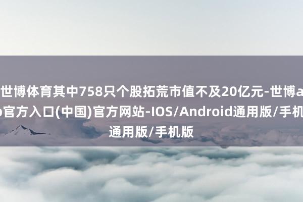 世博体育其中758只个股拓荒市值不及20亿元-世博app官方入口(中国)官方网站-IOS/Android通用版/手机版