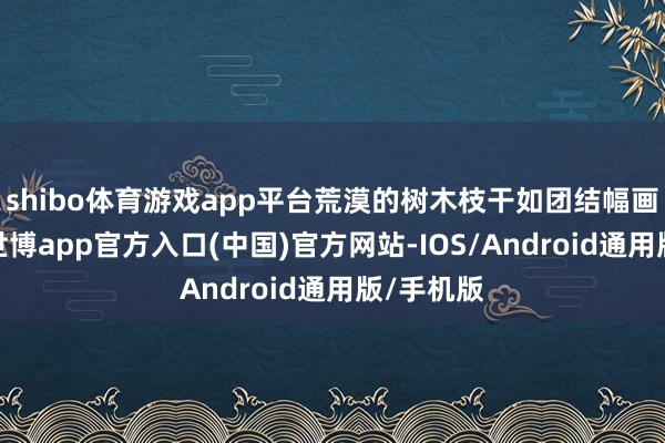 shibo体育游戏app平台荒漠的树木枝干如团结幅画的线条-世博app官方入口(中国)官方网站-IOS/Android通用版/手机版