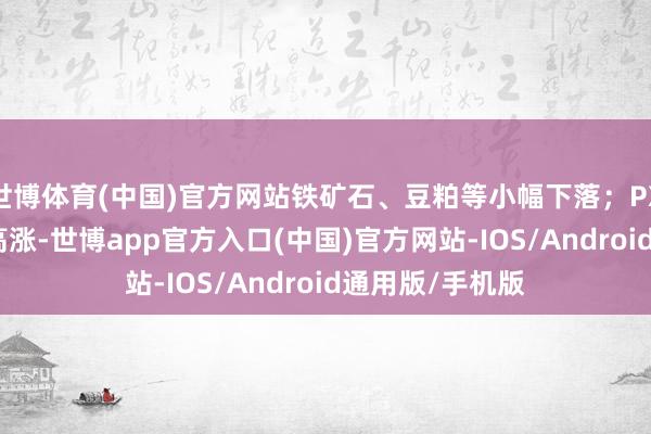 世博体育(中国)官方网站铁矿石、豆粕等小幅下落；PX、PTA等小幅高涨-世博app官方入口(中国)官方网站-IOS/Android通用版/手机版