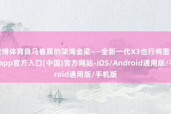 世博体育良马眷属的架海金梁——全新一代X3也行将面世-世博app官方入口(中国)官方网站-IOS/Android通用版/手机版