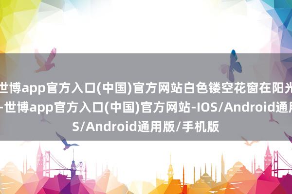 世博app官方入口(中国)官方网站白色镂空花窗在阳光下绝好意思-世博app官方入口(中国)官方网站-IOS/Android通用版/手机版