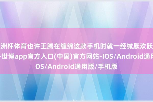 欧洲杯体育也许王腾在缠绵这款手机时就一经缄默欢跃了：“玩得爽-世博app官方入口(中国)官方网站-IOS/Android通用版/手机版